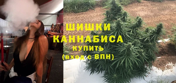 дмт Арсеньев