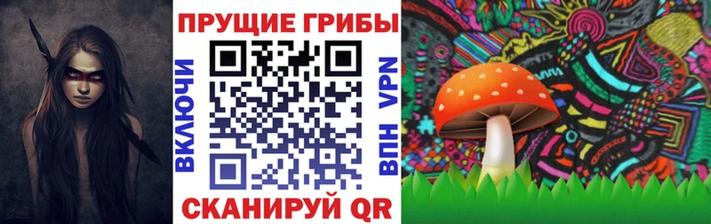даркнет сайт  Спасск-Дальний  Псилоцибиновые грибы мухоморы 